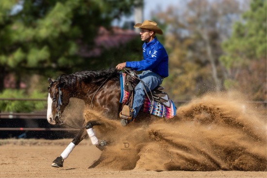 Sean Johnson Perf Horses  2023