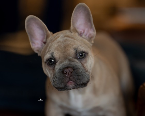 2026 Client Galleries